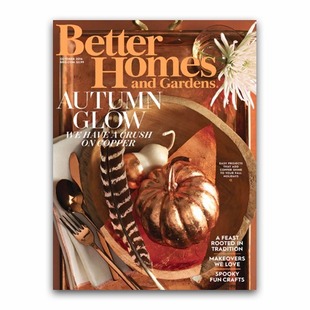 One Year of Better Homes & Gardens $4.95